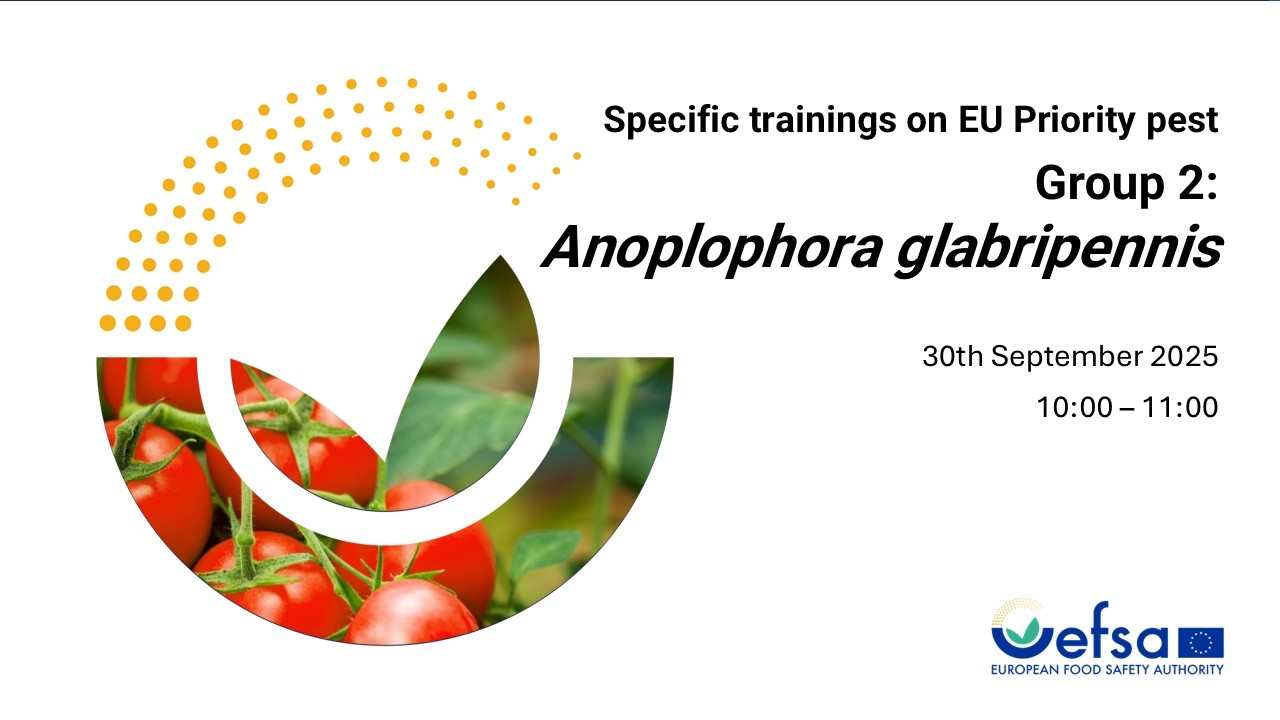 Statistically sound survey of Anoplophora glabripennis
