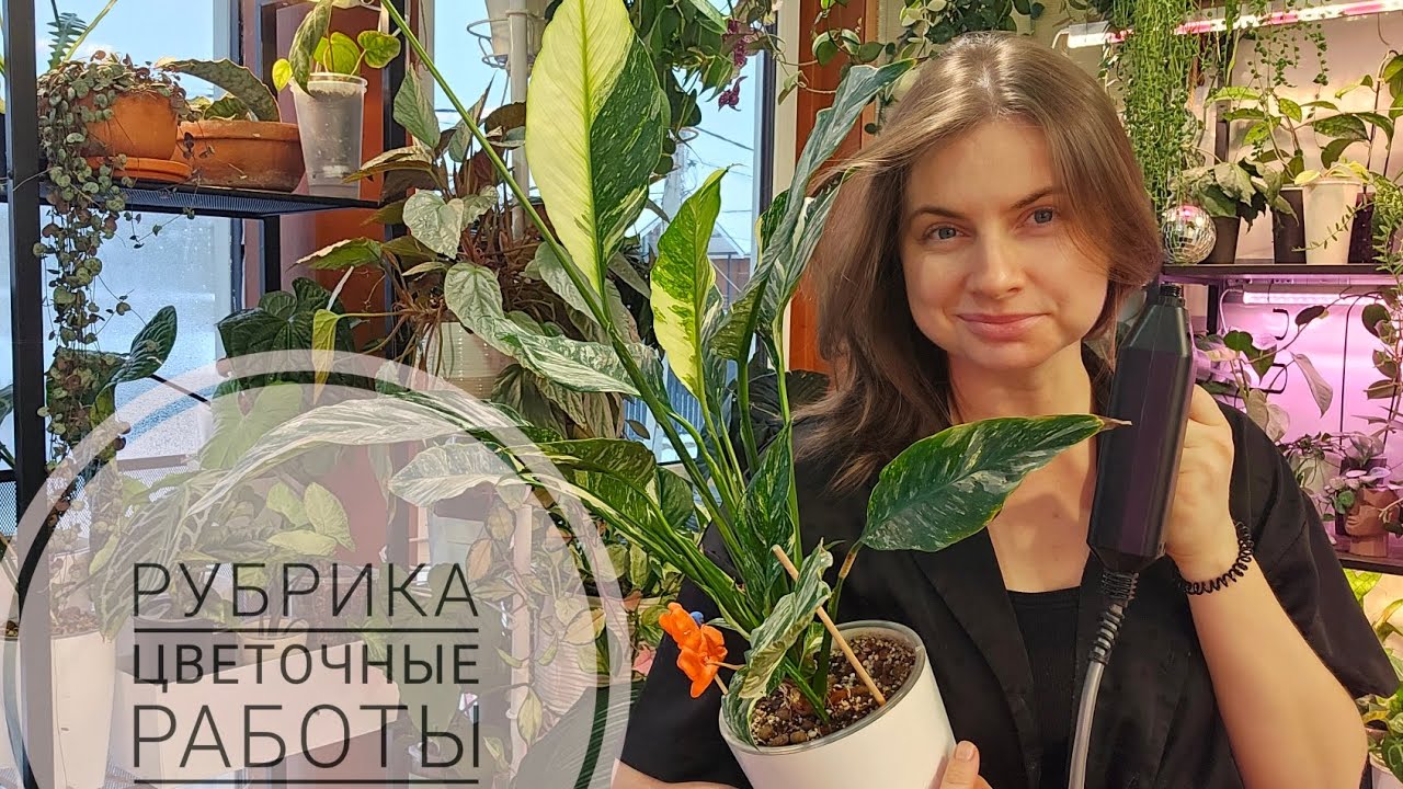 Рубрика: Цветочные работы