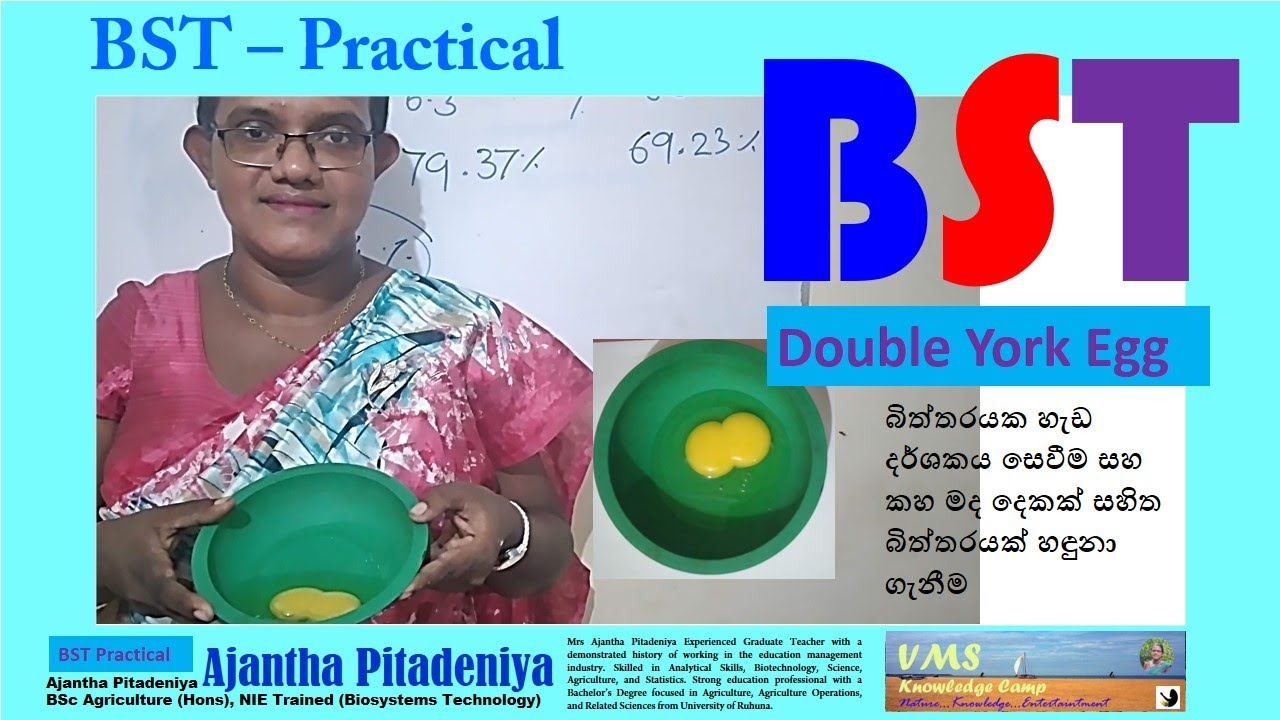 Double York Egg | BST Practical | Candling test for Eggs | Shape Index of Egg