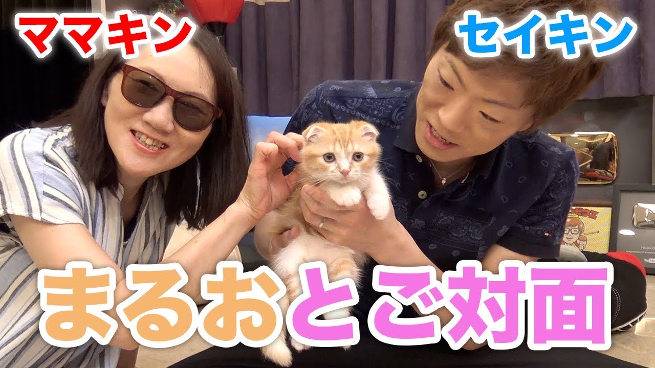 まるおとセイキン&ママキンがご対面！【まるおの成長日記 #5】