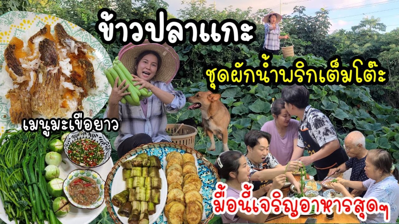 EP.679 ข้าวปลาเเกะ ราดพริกน้ำปลา ยอดผักพื้นบ้านลวก มะเขือยาวเผา มะเขือยาวชุปไข่ทอด เจริญอาหารสุดๆ