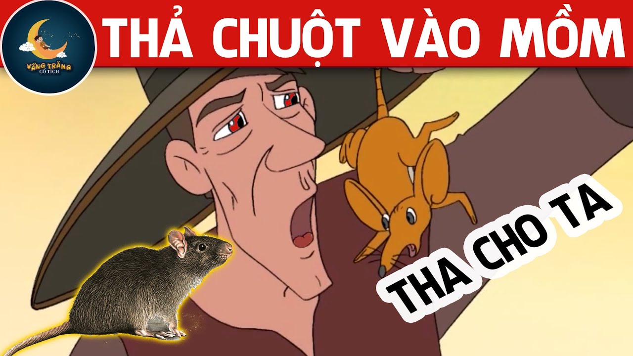 THẢ CHUỘT VÀO MỒM - PHIM HOẠT HÌNH -TRUYỆN CỔ TÍCH - KHOẢNH KHẮC KỲ DIỆU -TỔNG HỢP PHIM HOẠT HÌNH