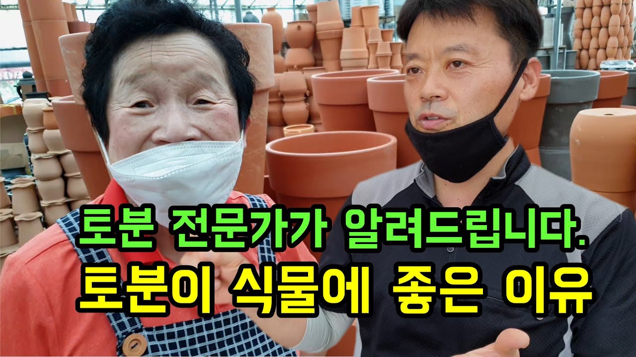 토분 전문가가 직접 알려드립니다. 토분이 식물에 좋은 이유.