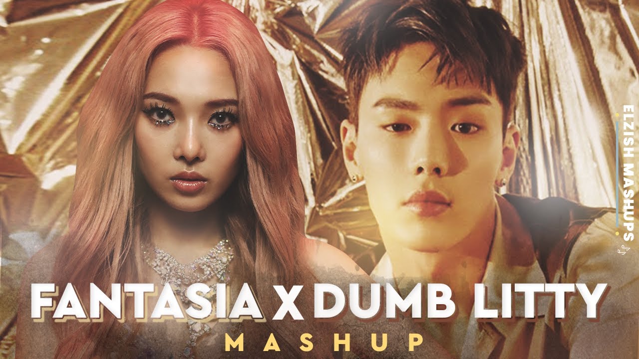FANTASIA X Dumb Litty | MONSTA X/KARD Mashup