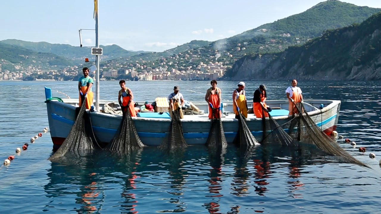La Tonnara di Camogli