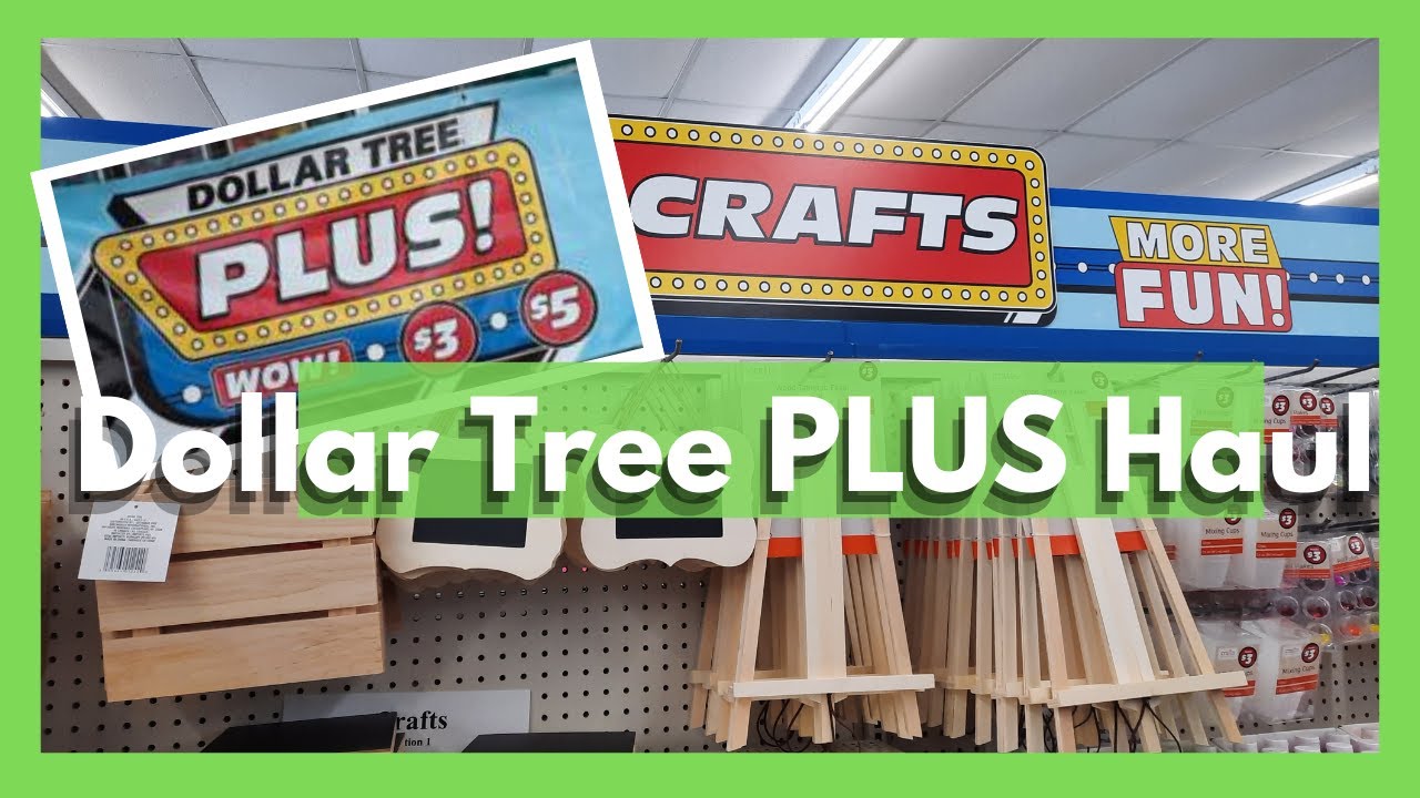 MUST SEE!! Dollar Tree Plus Haul ! Dollar Tree Plus Is Here!