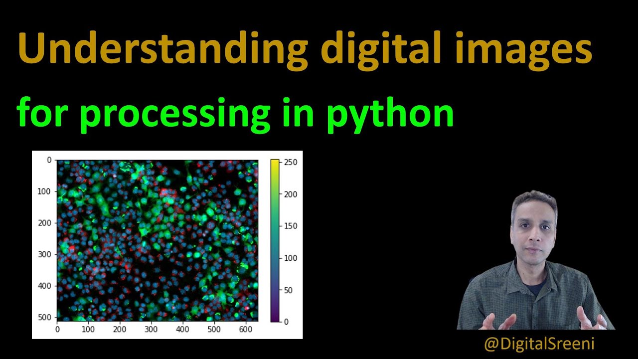16 — Понимание цифровых изображений для обработки Python