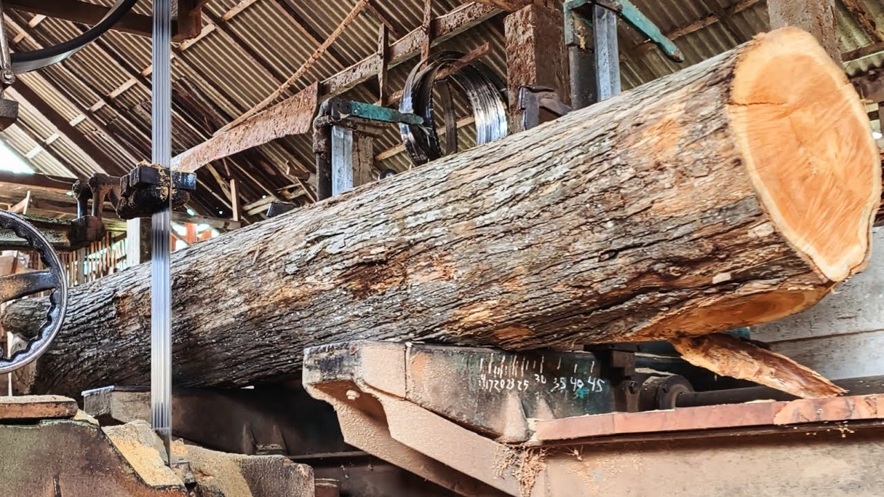 How we cut teak wood with a bandsaw - wood sawmill skills
