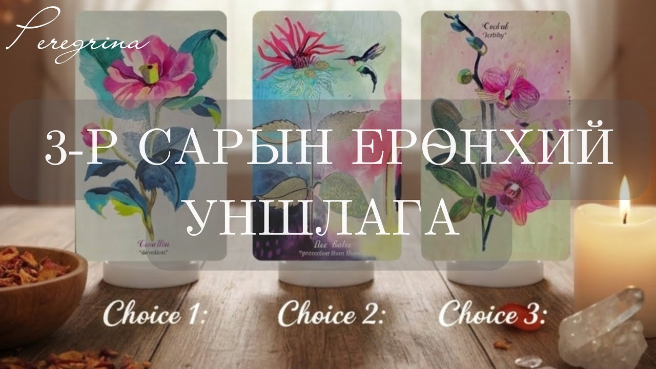 ☀️3-р сарын ерөнхий уншлага ☕️🐦‍⬛🌿🌸 