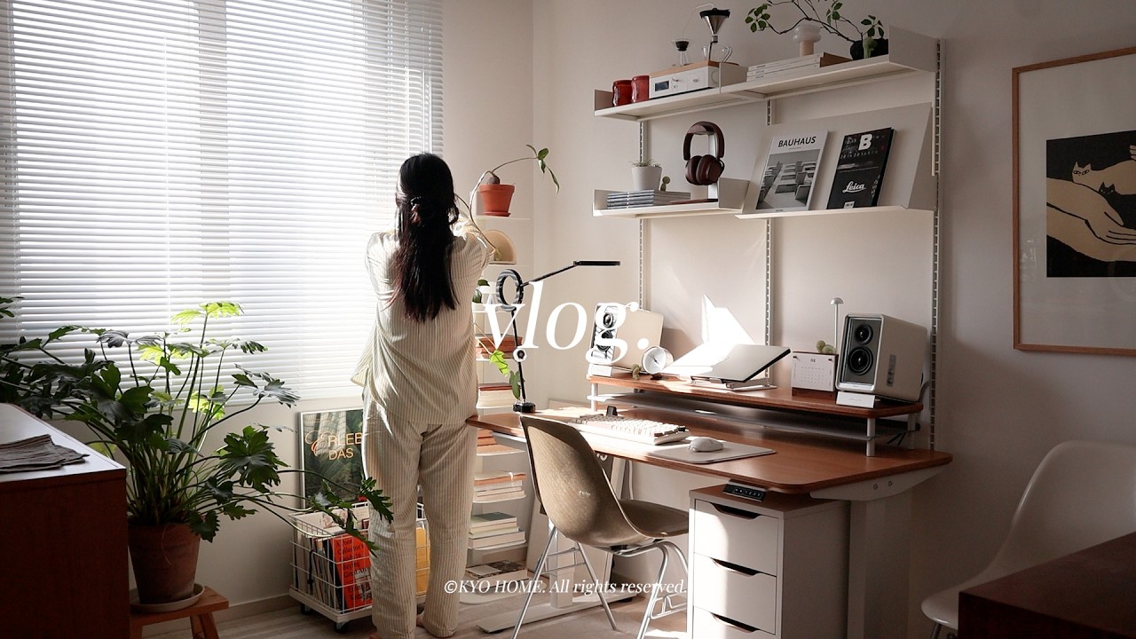 역시 집이 최고야🏡 새 조명 설치하고 지글지글 감바스🍤와 향긋한 카레 냄새로 채운 집순이의 일상 브이로그