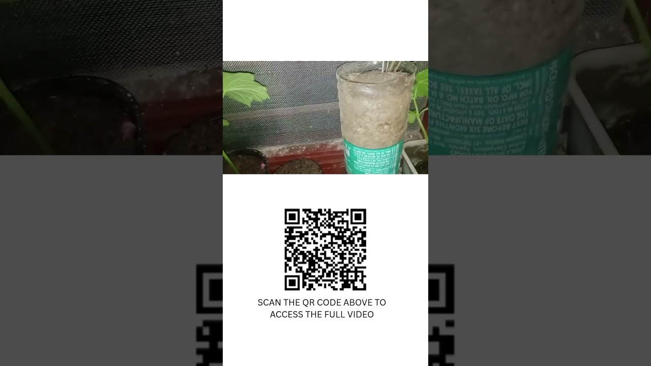 Mini Pot Winter Vegetable Seed Starting Series Episode No. 2 of 3  