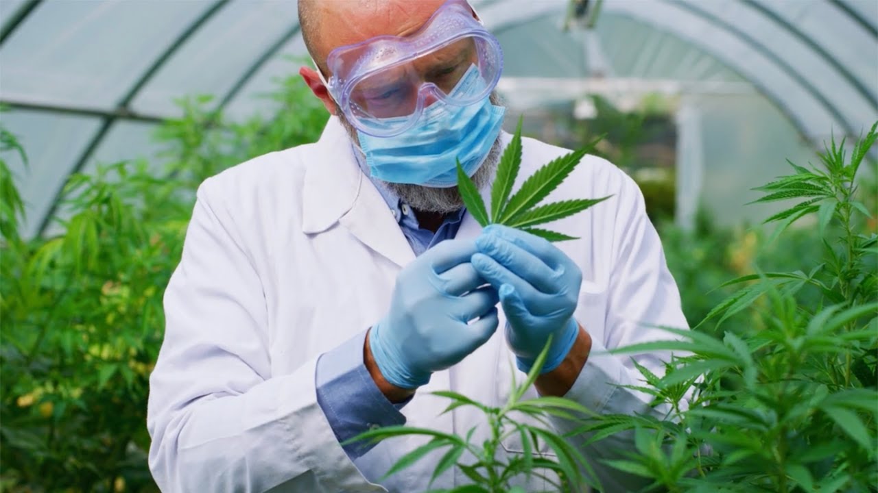ASTM Cannabis Standards and Services &ndash; 360 Degree Approach