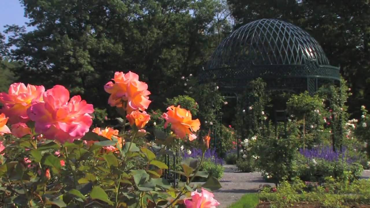 The Peggy Rockefeller Rose Garden
