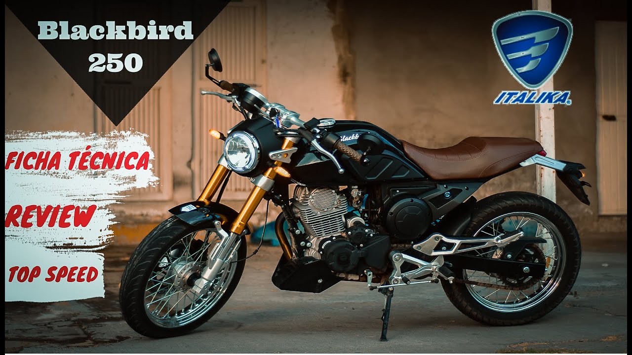 SACAMOS la BLACKBIRD 250 de ITALIKA