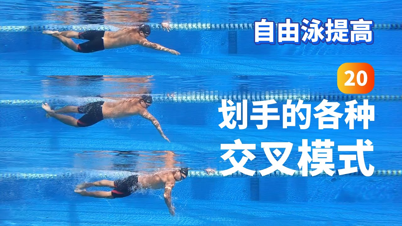 【自由泳提高】20.各种交叉模式｜梦觉教游泳