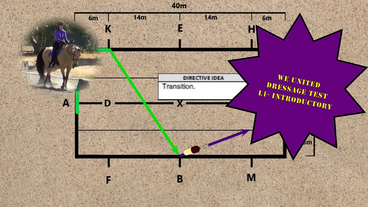 WE UNITED Working Equitation Dressage Test L1 Introductory