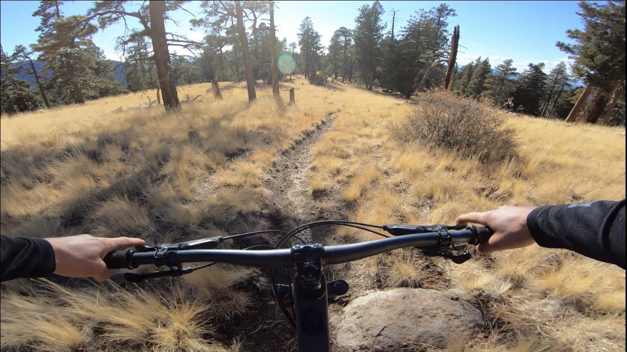 A Hidden Gem | Flagstaff, Arizona.