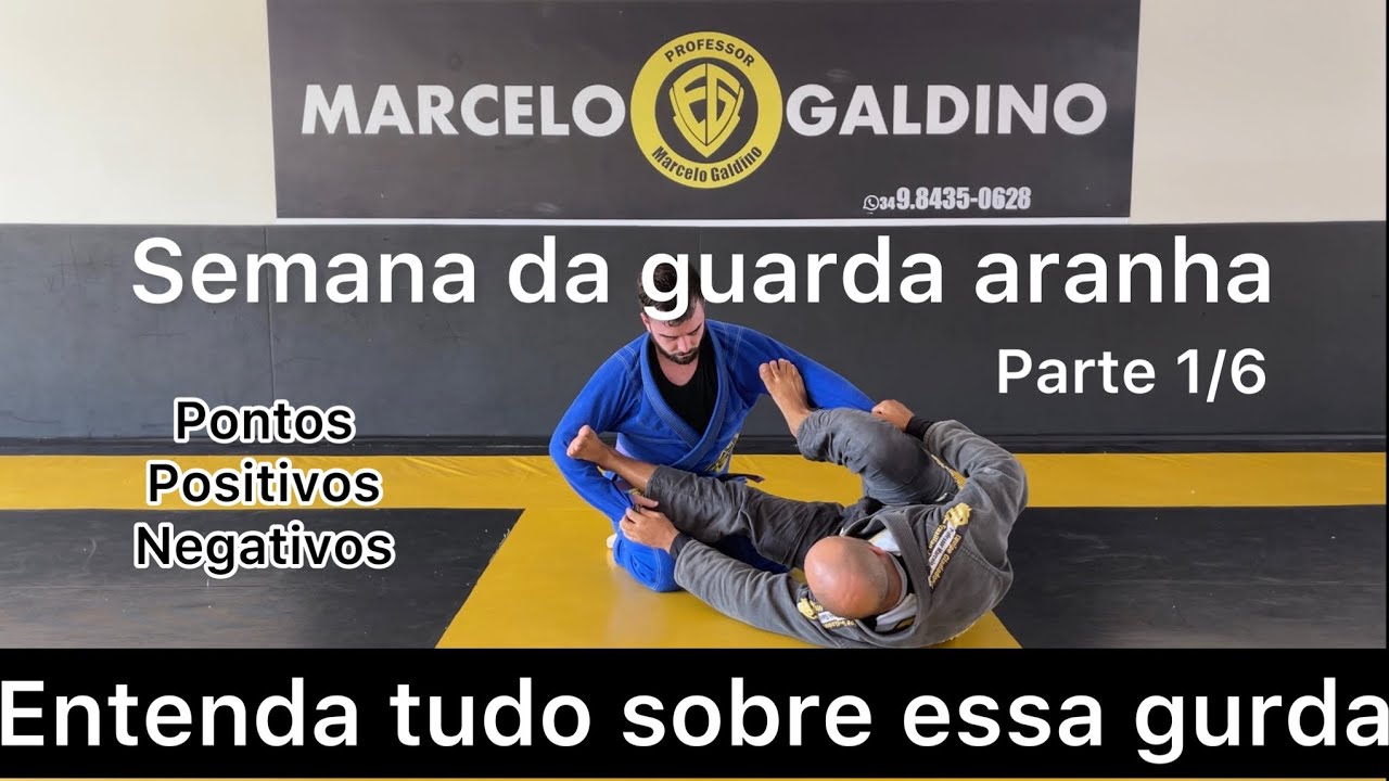 Os SEGREDOS DA GUARDA ARANHA