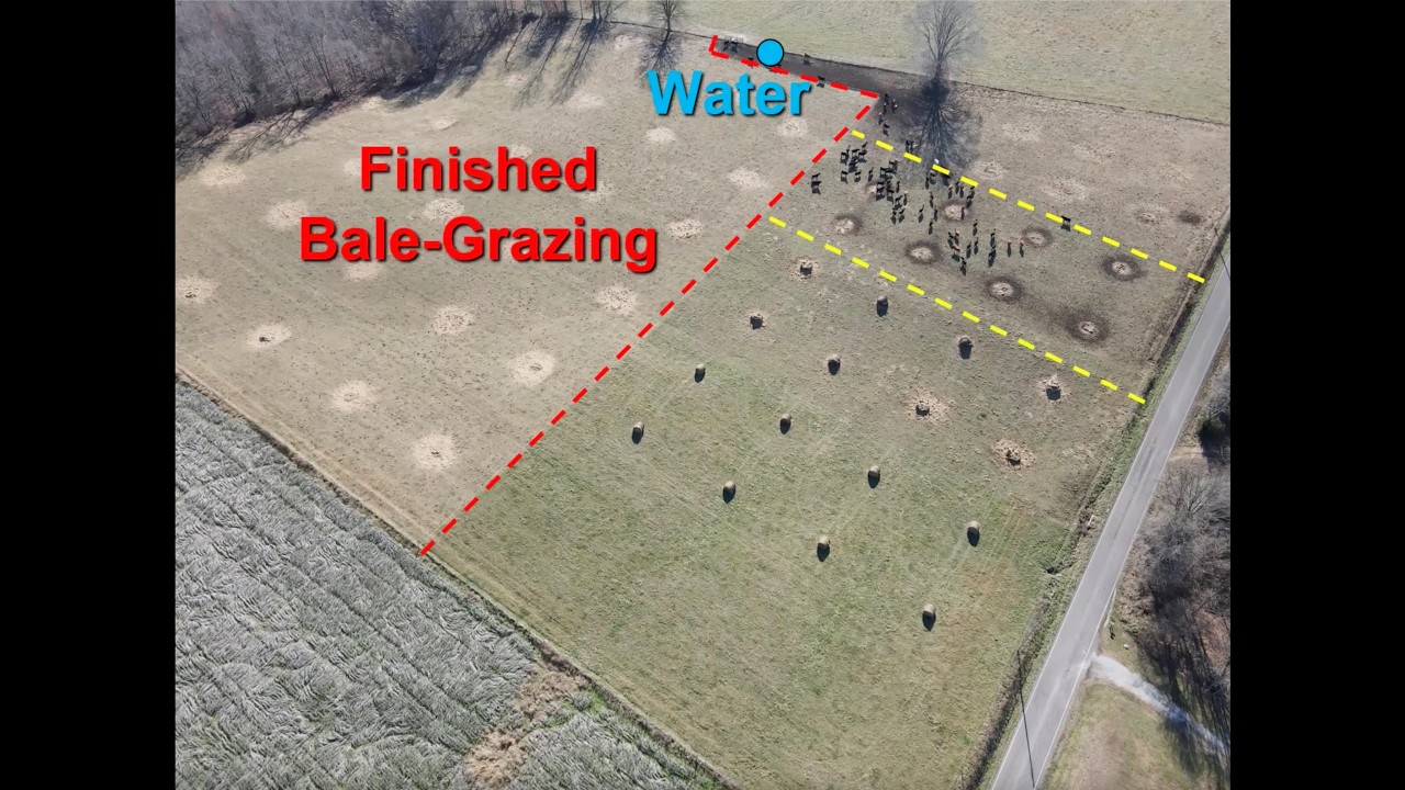 Bale Grazing Workshop w/ Dr. Greg Halich