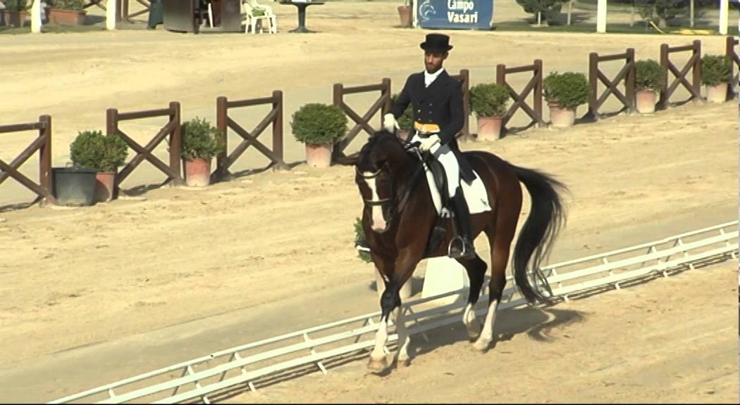 kur dressage inter 1