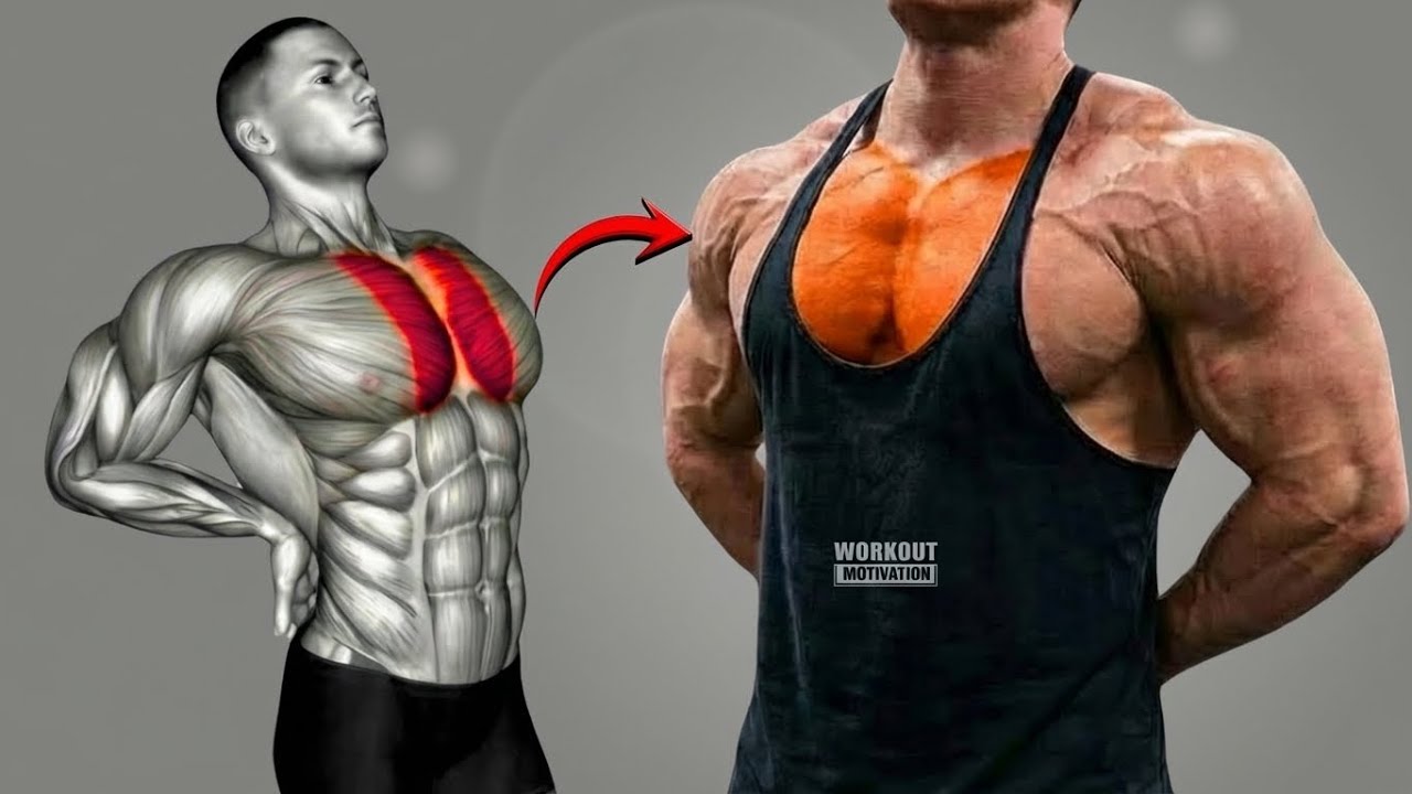 11 Best Exercises to Grow Inner Pecs Line