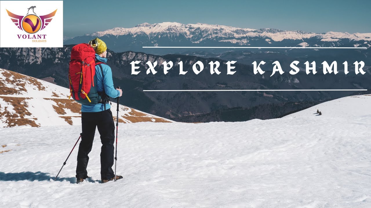 Best Travel Agency | Kashmir tour package for family | Affordable  tour packages | Srinagar trip