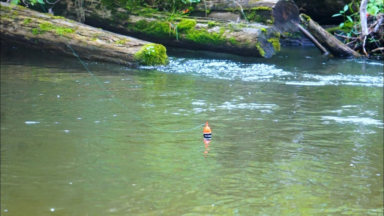 Skinny Water King Salmon, поплавки + броски на спиннер (Мичиган, 2022)