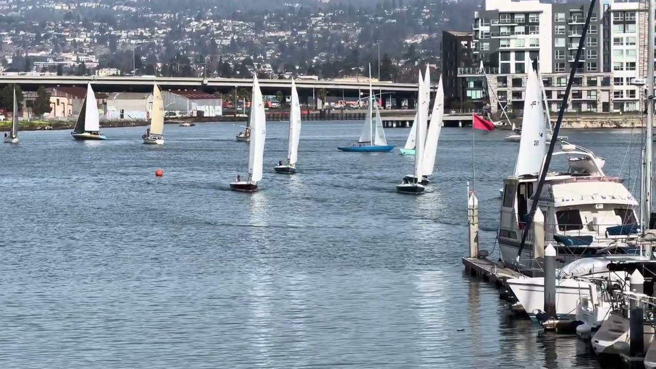 OYC 2-1-26 Brunch Race - Fleet B start (Harbor 20s)
