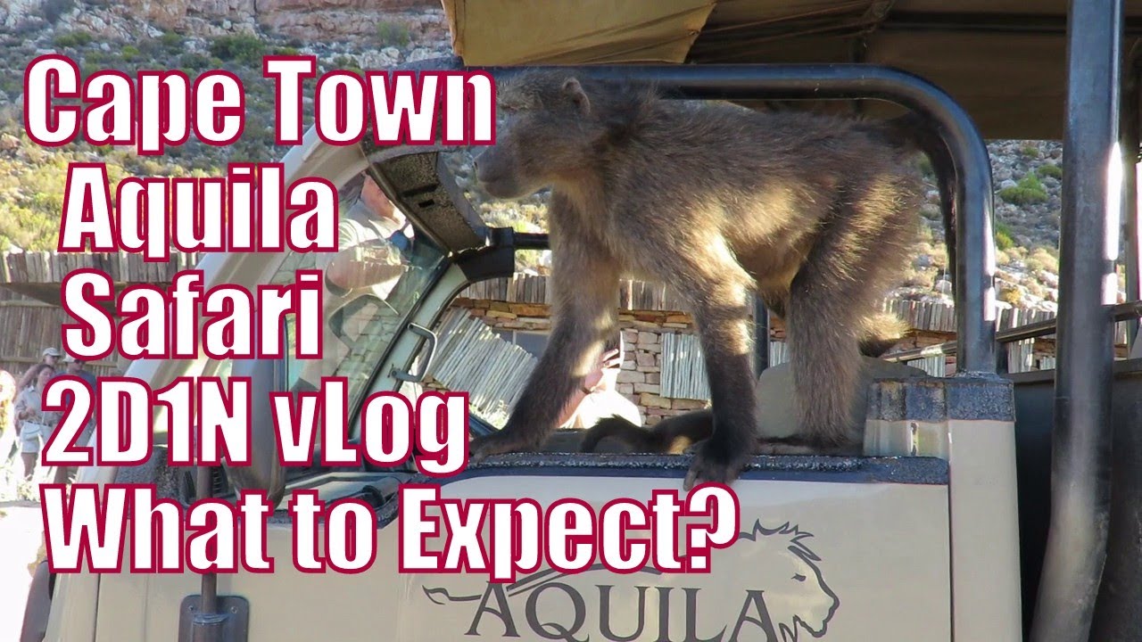 Safari 2D1N experience @ Aquila (Cape Town South Africa) Private Game Reserve and Cottages Room Tour