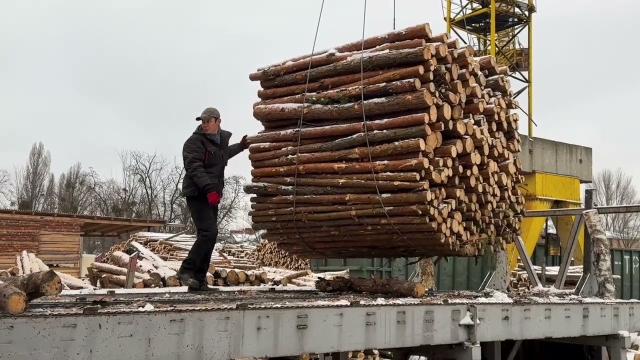 TITANIC Wood Chipping: MEGA Industrial Destruction