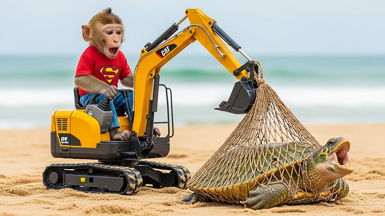 😱 Bon Bon Monkey Uses JCB Tractor to Rescue a Trapped Turtle | Coco Monkey & cat Join the Mission