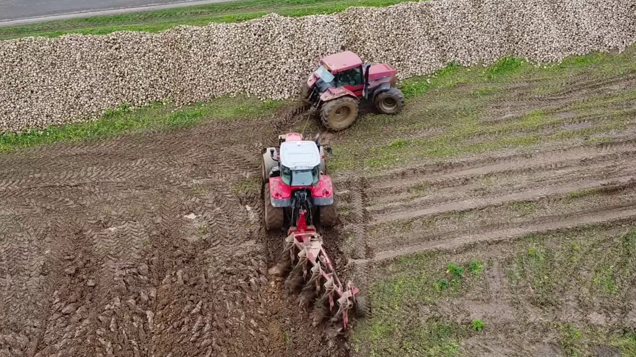 Labour Conditions extrêmes Massey et Case en difficulté !! chantier difficile 🚜⛈