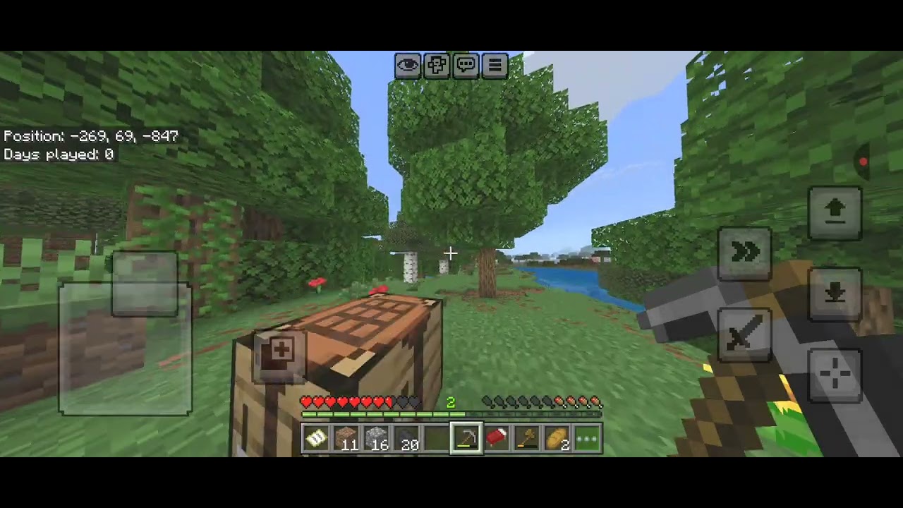 1 day of playing minecraft to beat ender dragon