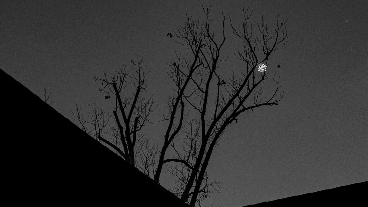 john powell - goodnight sweet possum (slowed & reverb) / sad ambient music