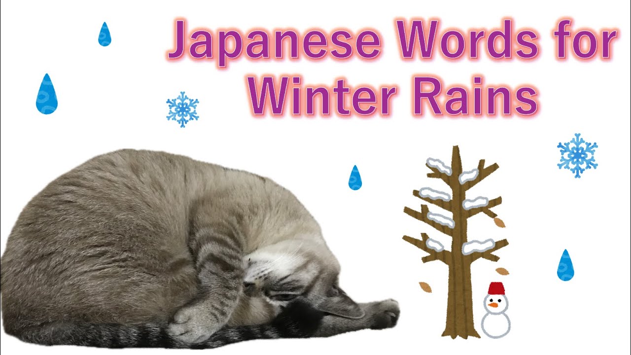 Winter Rains of Japan: Quiet Beauty in the Cold ~ Learn Japanese with Toby ~
