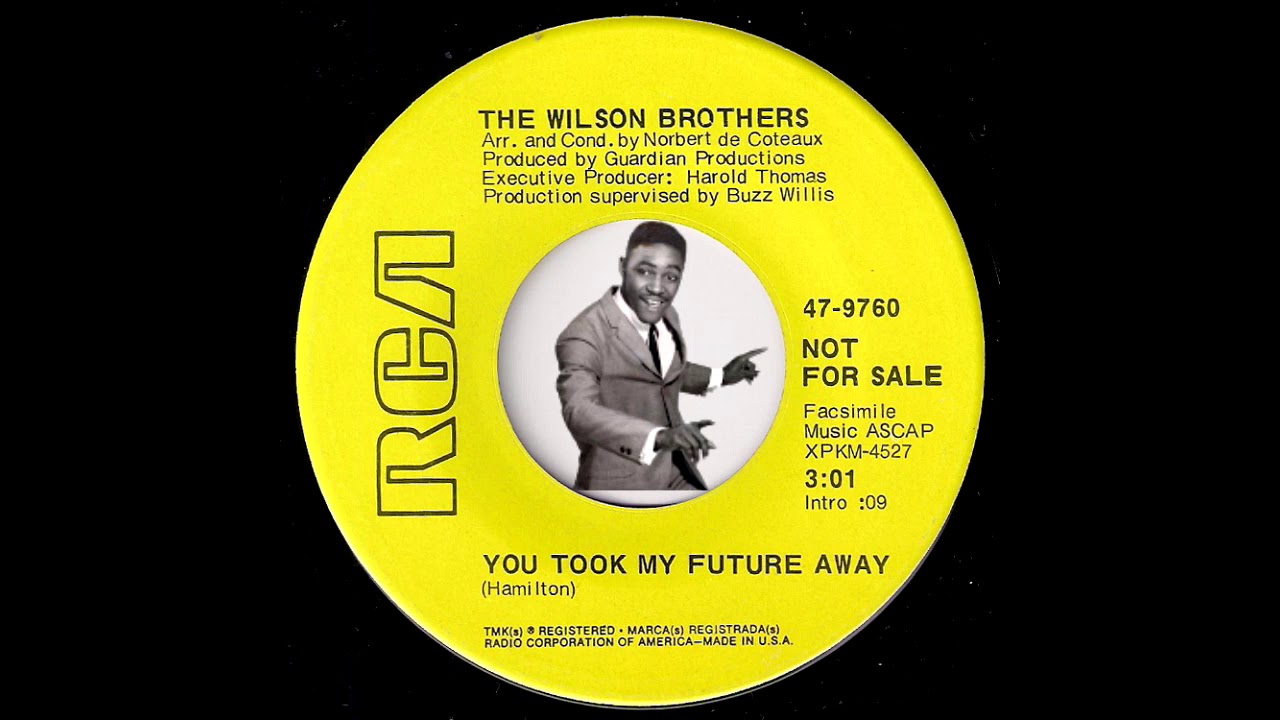 The Wilson Brothers - You Took My Future Away [RCA] 1969 Crossover Soul Funk 45
