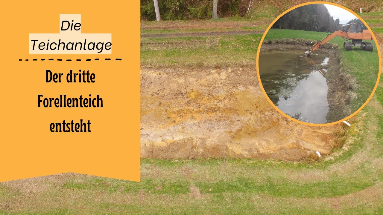 Unser dritter Teich für Forellen und Saiblinge entsteht #Case  #bagger