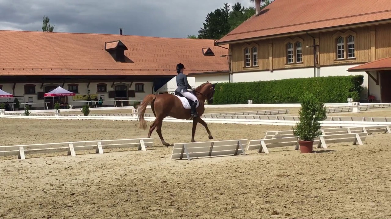 Luana Niklaus und Otto von Oxford GA06/60 Avenches