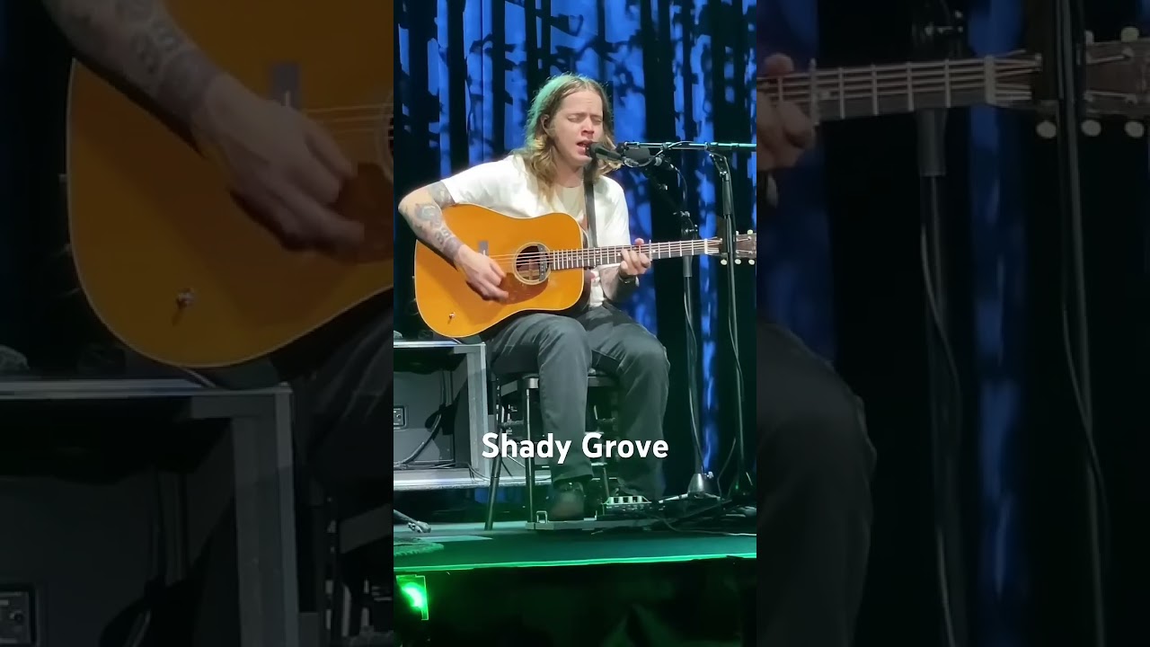 Billy Strings - Shady Grove