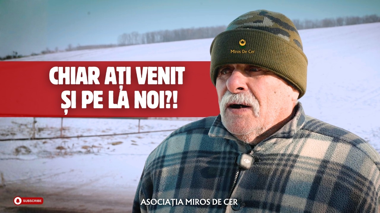 Chiar ați venit și pe la noi⁉️