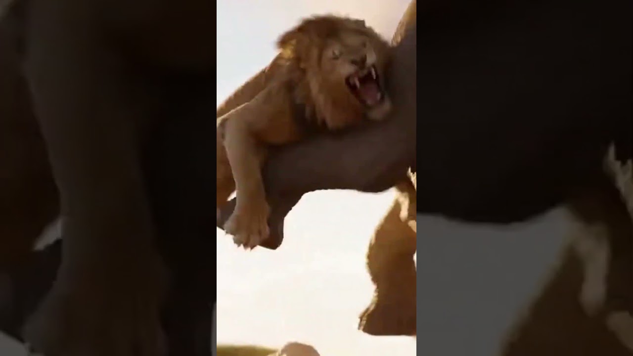 Can the elephant protect the baby from the lion’s attack? 