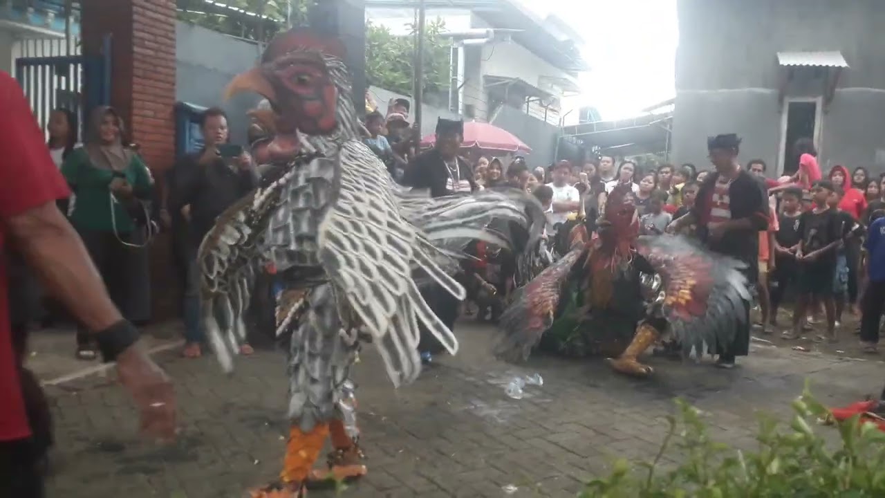 Pitik tarung agung wilis 