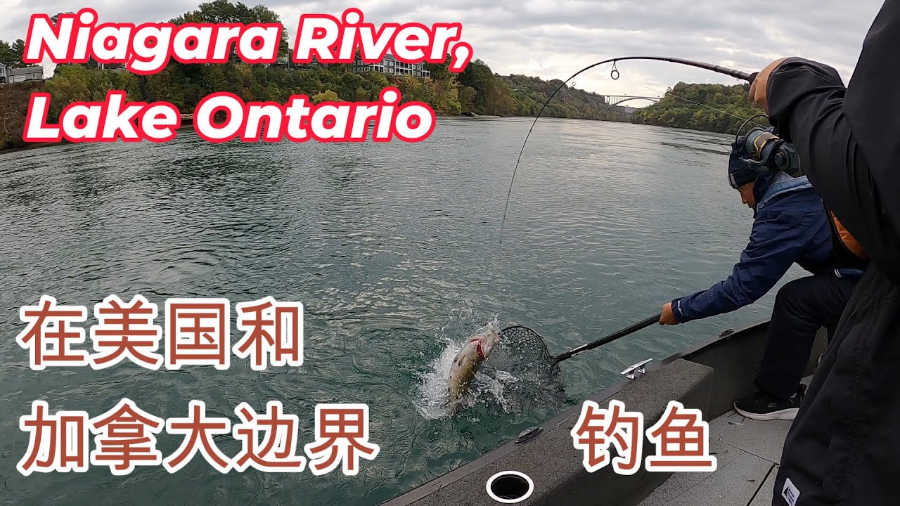 钓遍加拿大安大略省百湖（9）：Niagara River to Lake Ontario, 在美国和加拿大边界钓鱼 Fishing at the boundary of USA and Canada
