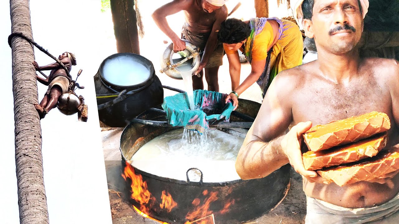 Jaggery Making Process With Toddy Sap Palm Wine Juice | Palm Jaggery | Thati Bellam | Karupatti
