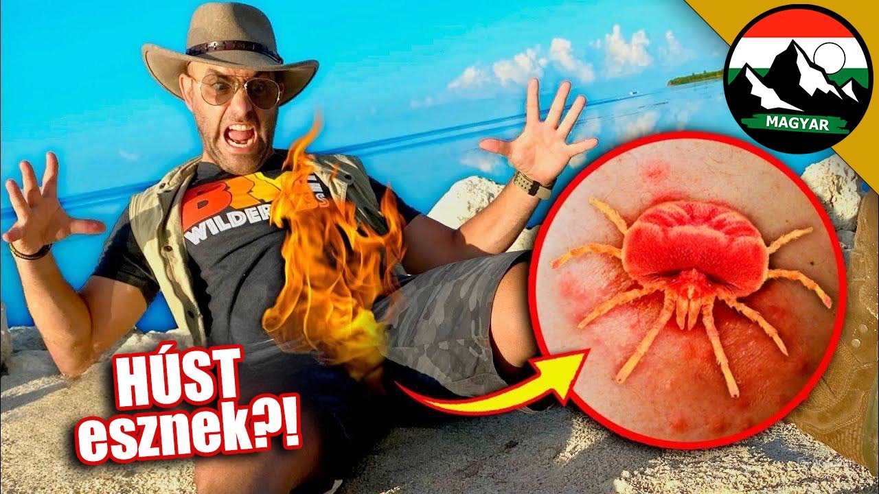 MEGMAROTT EGY VESZÉLYES KULLANCS! Expedíció egy lakatlan szigeten! | Brave Wilderness Magyar