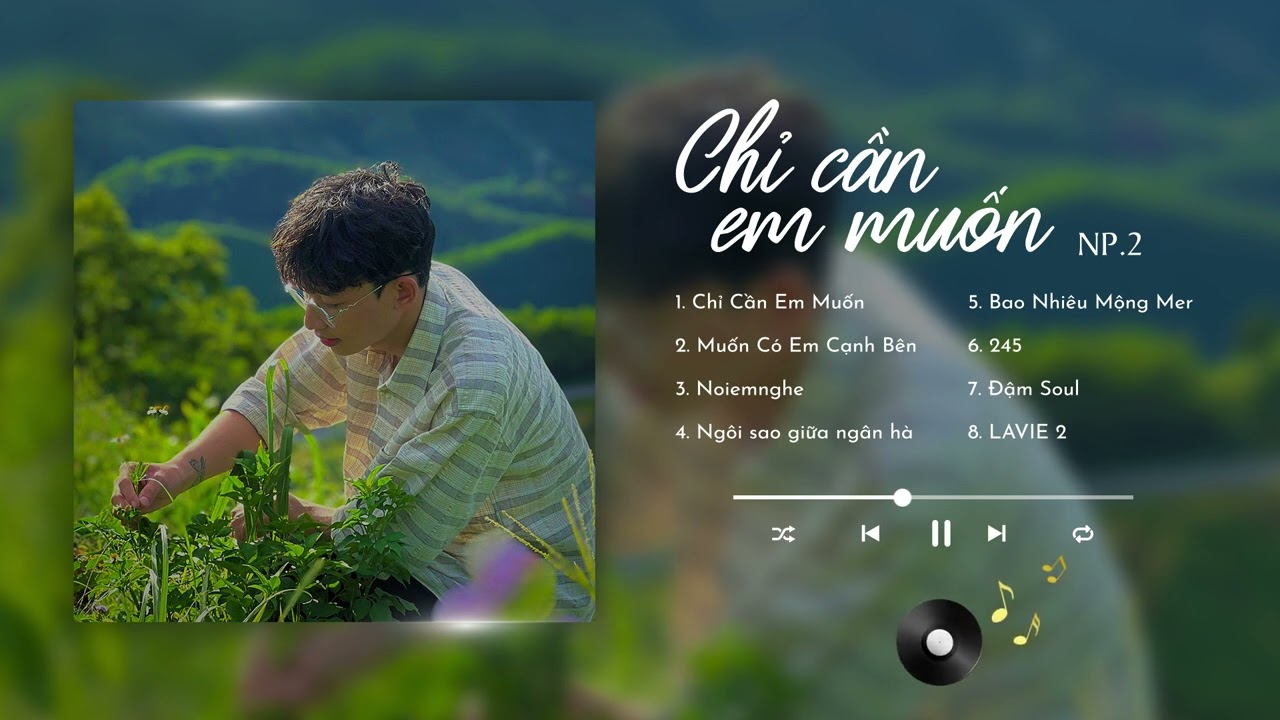 Playlist Chỉ Cần Em Muốn | Những Bài Hát Hay Nhất Của NP.2