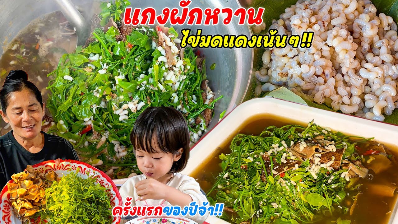 แกงผักหวานไส่ไข่มดแดง ครั้งแรกของปี!! เมนูชั้นสูง แกงซดฮ้อนๆ แซ่บขนาดพี่น้อง!!