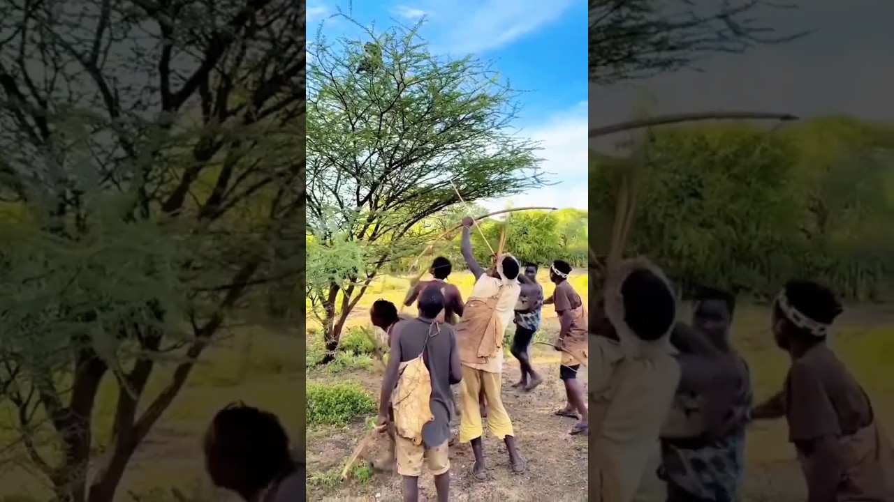 How African Tribes Hunt with Bow & Arrow | Real Bush Skills.#shortvideo