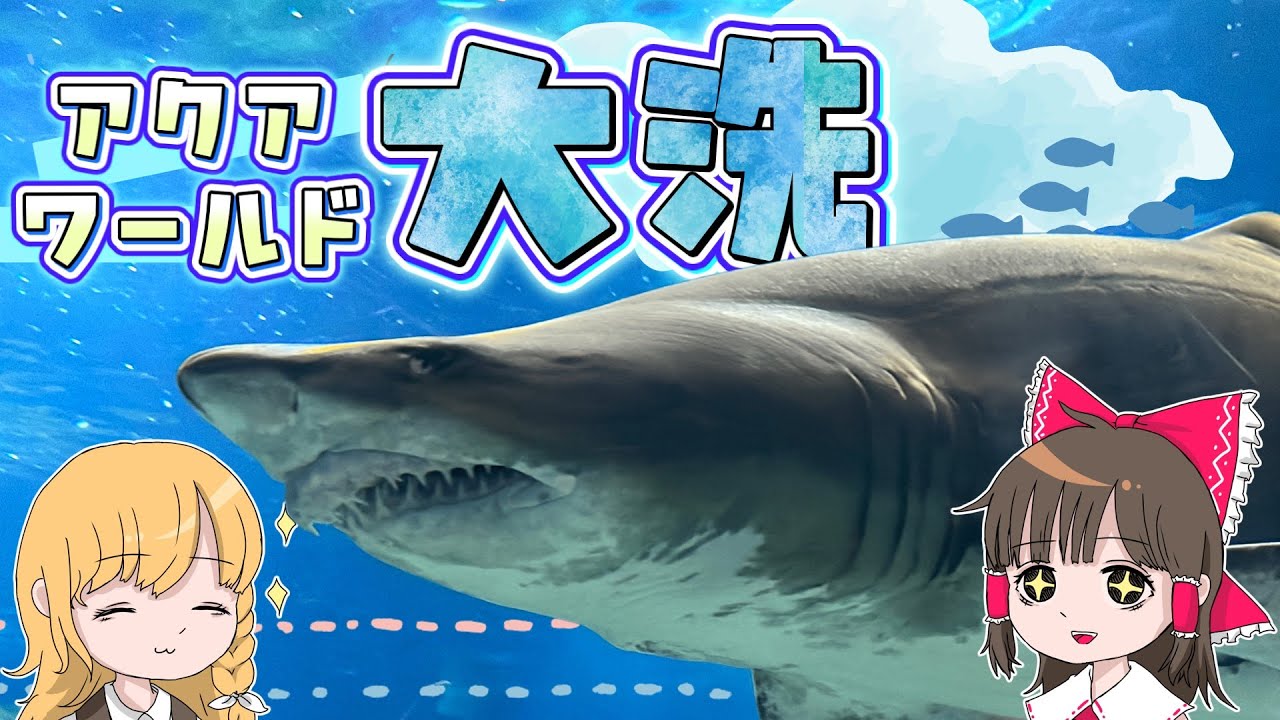 いや、サメ怖すぎ！？サメ最強水族館のサメ展示がすごすぎて宇宙！霊夢と魔理沙がアクアワールド大洗に行くよ【ゆっくり実況解説】【茨城旅行】Vol.72
