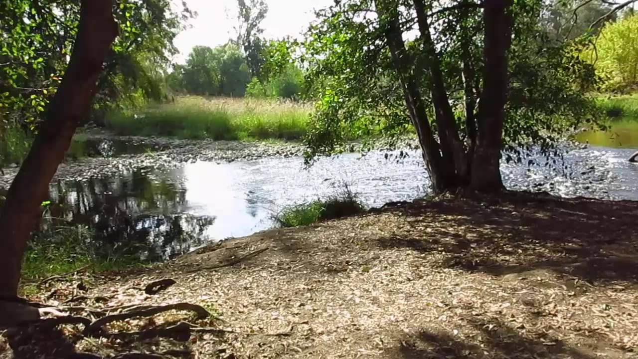 River Bend to William Pond Park Walk